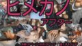 【エロ漫画】陰キャオタクカメコのママはどすけべ専属ド淫乱コスプレイヤー（ごまねこブリーフ）【d_268298】 | 抜ける無料エロ漫画