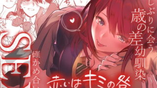 【エロ漫画】【CG集】神装聖姫エレメンティア〜屈辱の洗脳催●〜後編（ピンポイント/キングピン/ピンポイントクイック）【d_148367】 | 抜ける無料エロ漫画