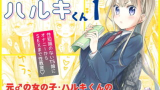 【エロ漫画】蛮族に嫁いだエルフの姫（diletta）【d_246714】 | 抜ける無料エロ漫画