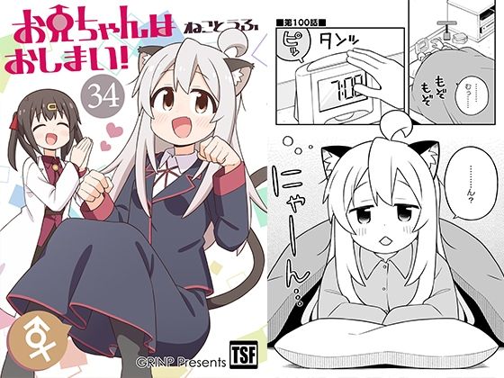 【エロ漫画】お兄ちゃんはおしまい!34(ねことうふ)【d_648449】 お兄ちゃんはおしまい!34|ねことうふ|d_648449